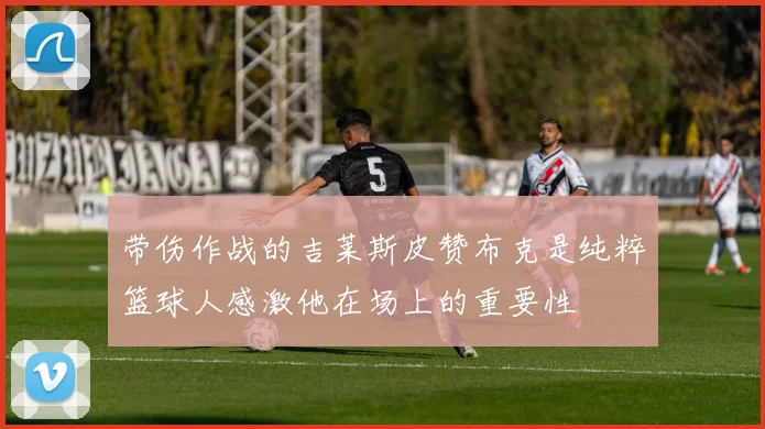 带伤作战的吉莱斯皮赞布克是纯粹篮球人感激他在场上的重要性