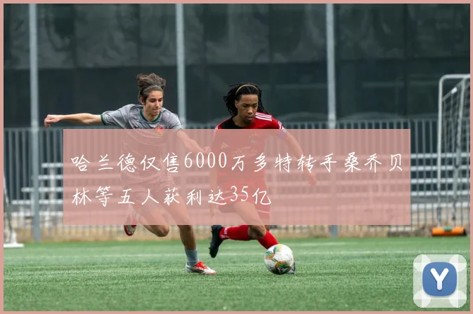 哈兰德仅售6000万多特转手桑乔贝林等五人获利达35亿