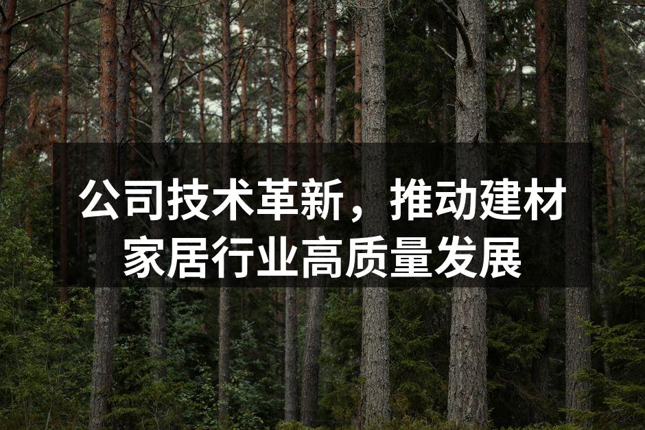 新型防潮地板展示